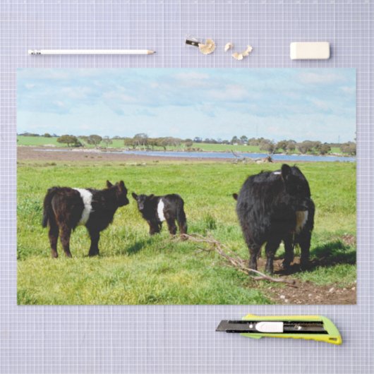 Mummy en Baby Galloway Koe, tissuepapier (Craft)