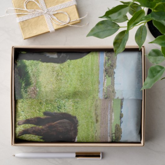 Mummy en Baby Galloway Koe, tissuepapier (Geschenk)