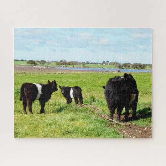 Mummy en Baby Galloway Koeien, puzzel (Horizontaal)