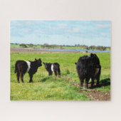 Mummy en Baby Galloway Koeien, puzzel Legpuzzel (Horizontaal)