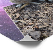 Mummy en Pup Meerkat, Poster (Hoek)