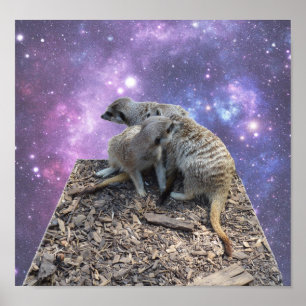Mummy en Pup Meerkat, Poster