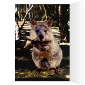 Mummy Quokka Waterverf, Birthday Kaart (Binnen (Links))