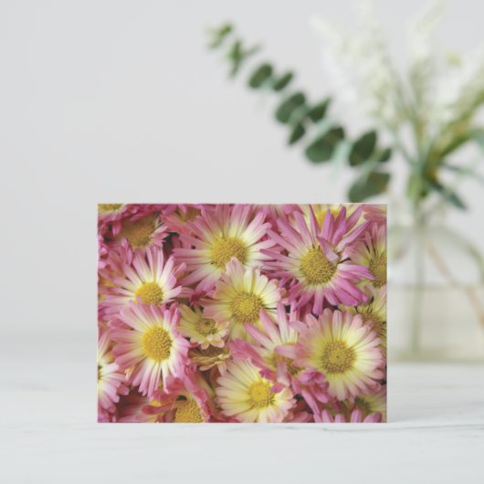 Mums Briefkaart (Staand voorkant)