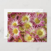 Mums Briefkaart (Voorkant / Achterkant)