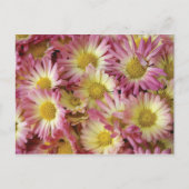 Mums Briefkaart (Voorkant)