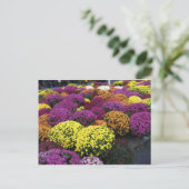 Mums Briefkaart (Staand voorkant)