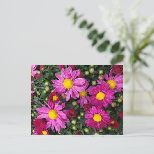 Mums Briefkaart (Staand voorkant)