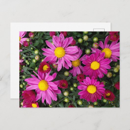 Mums Briefkaart (Voorkant / Achterkant)