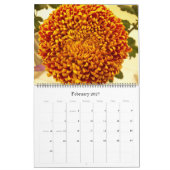 Mums en Dahlias 2012 Kalender (Feb 2027)