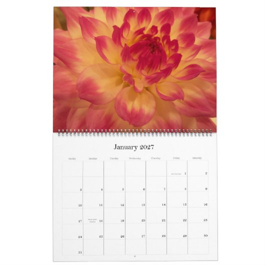 Mums en Dahlias 2012 Kalender (Jan 2027)
