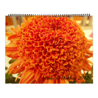 Mums en Dahlias 2012 Kalender