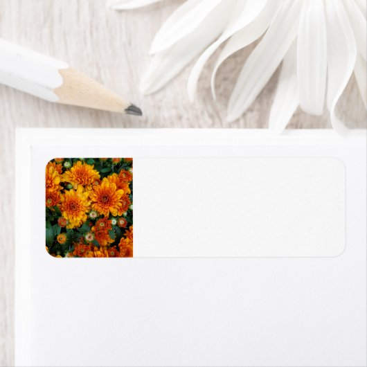 Mums Etiket (Insitu)