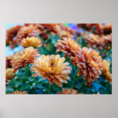 Mums het woord! poster (Voorkant)