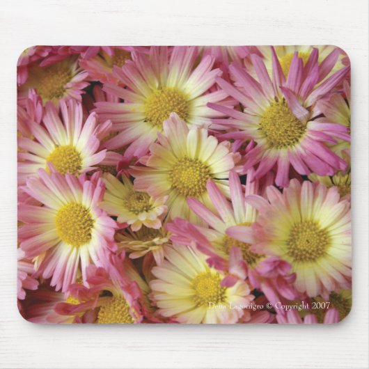 Mums Muismat (Voorkant)