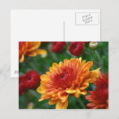 Mums on Fire Briefkaart (Voorkant / Achterkant)