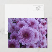 Mums the word! briefkaart (Voorkant / Achterkant)