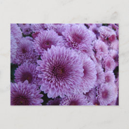 Mums the word! briefkaart
