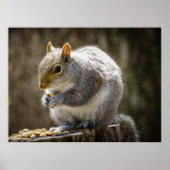 Munchies Poster (Voorkant)