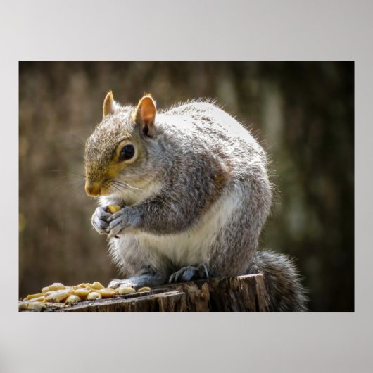 Munchies Poster (Voorkant)