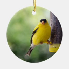 Munching Goldfinch Keramisch Ornament