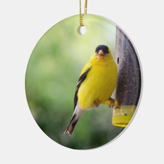 Munching Goldfinch Keramisch Ornament (Links)