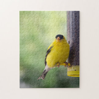 Munching Goldfinch Legpuzzel