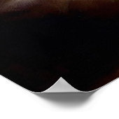 Munchkin Cat Poster (Hoek)