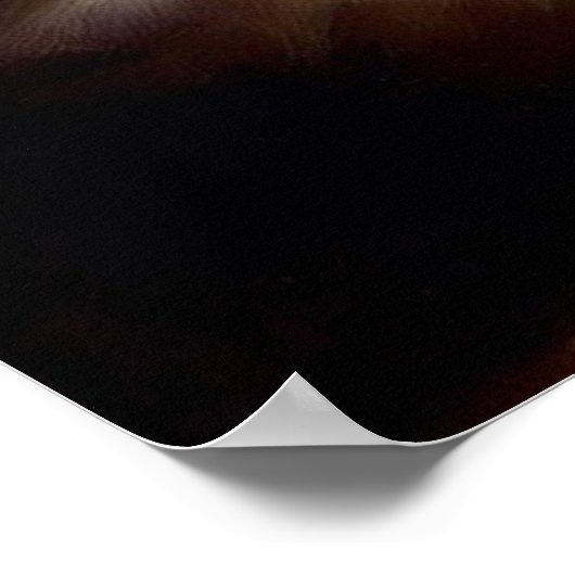 Munchkin Cat Poster (Hoek)