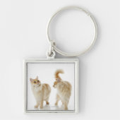 Munchkin-katten Sleutelhanger (Voorkant)