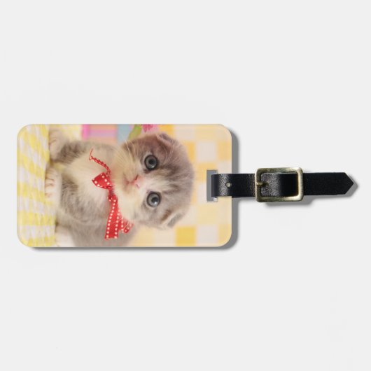 Munchkin Kitten Bagagelabel (Voorkant horizontaal)