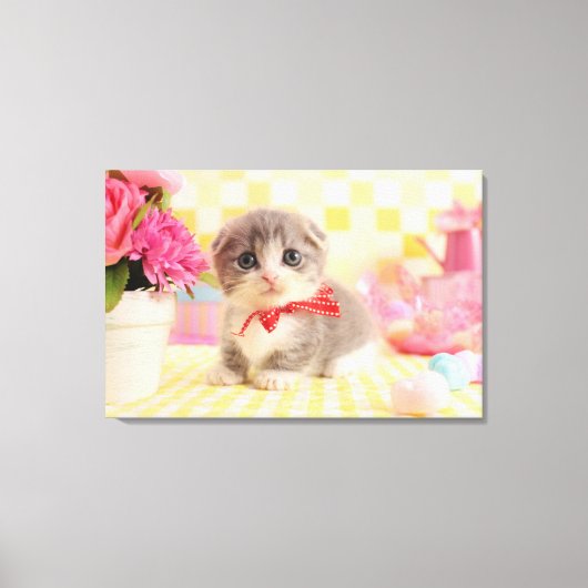 Munchkin Kitten Canvas Afdruk (Voorkant)