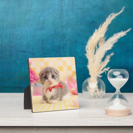 Munchkin Kitten Fotoplaat (Insitu)