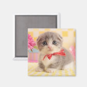 Munchkin Kitten Magneet (Voorkant / Achterkant)