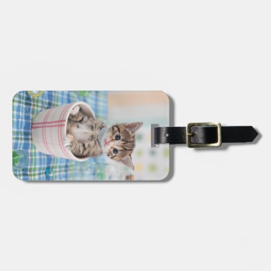 Münchkin Kitten met  lint Bagagelabel (Voorkant horizontaal)