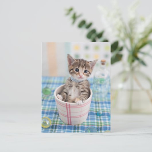 Münchkin Kitten met  lint Briefkaart (Staand voorkant)