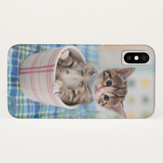Münchkin Kitten met lint Case-Mate iPhone Case (Achterkant (horizontaal))