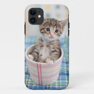 Münchkin Kitten met  lint Case-Mate iPhone Case