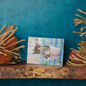 Münchkin Kitten met  lint Fotoplaat (Zijkant)