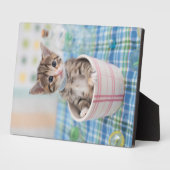 Münchkin Kitten met  lint Fotoplaat (Zijkant)