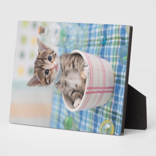 Münchkin Kitten met  lint Fotoplaat (Zijkant)