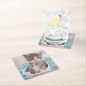 Münchkin Kitten met  lint Kartonnen Onderzetters (Insitu)