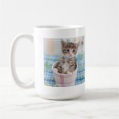 Münchkin Kitten met  lint Koffiemok (Links)