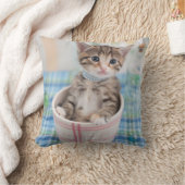 Münchkin Kitten met  lint Kussen (Deken)