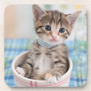 Münchkin Kitten met  lint Onderzetter