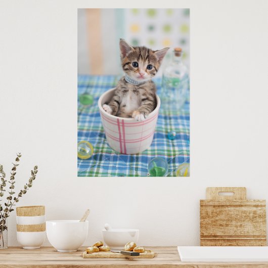 Münchkin Kitten met  lint Poster (Keuken)