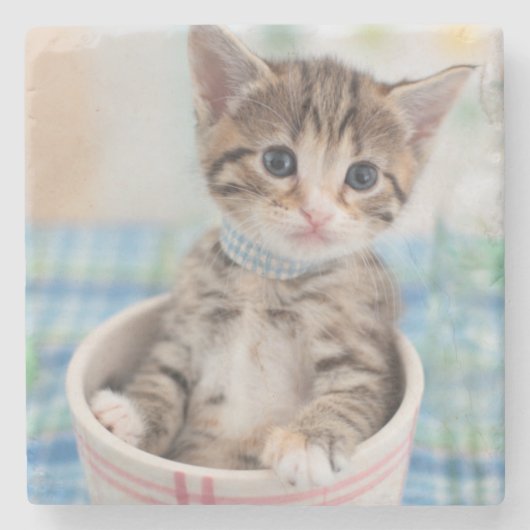 Münchkin Kitten met lint Stenen Onderzetter (Voorkant)
