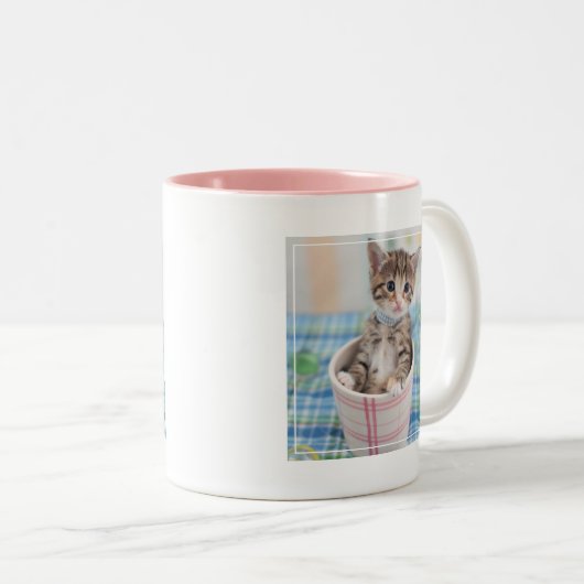 Münchkin Kitten met  lint Tweekleurige Koffiemok (Voorkant rechts)