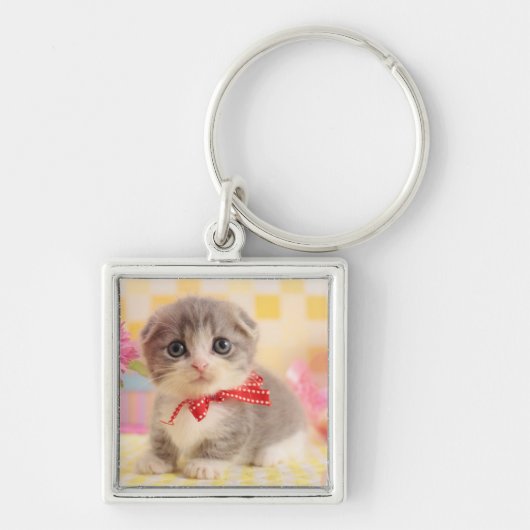 Munchkin Kitten Sleutelhanger (Voorkant)