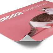 Munchkin- of worst-kattenbrood poster (Hoek)